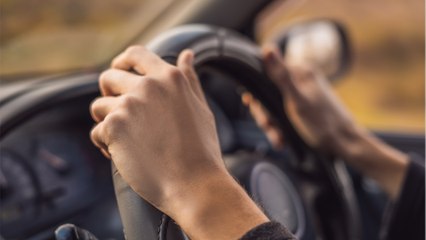 Permis D : conditions, formation et prix