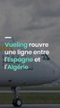 Vueling rouvre une ligne entre l'Espagne et l'Algérie