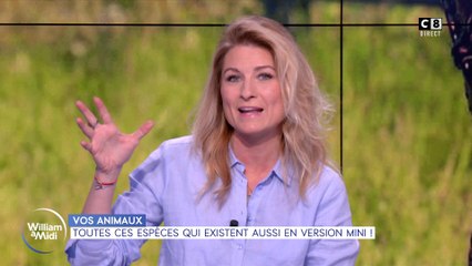 Vos animaux : toutes ces espèces qui existent aussi en version mini !
