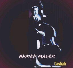 Ahmed Malek Casbah