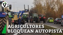 Los agricultores belgas bloquean la autopista que conduce a la zona centro de Bruselas