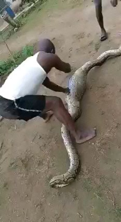 This happened in my area