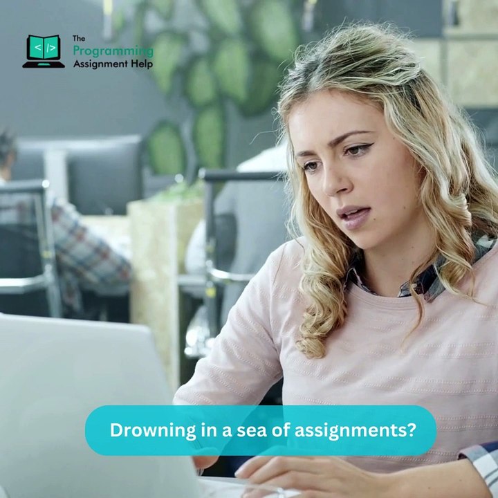 python assignment help