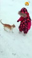 kitten playing with kid | cute cat playing| cat cutest