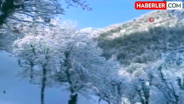 Sason'da kar nedeniyle kapalı 22 köy ve 17 mezra yolu ulaşıma açıldı