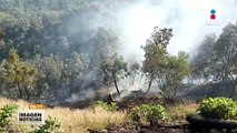Se registró el primer incendio forestal del  año
