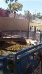 Ain khadem el hajeb Maroc morocco Afrique CAN Canada France usa