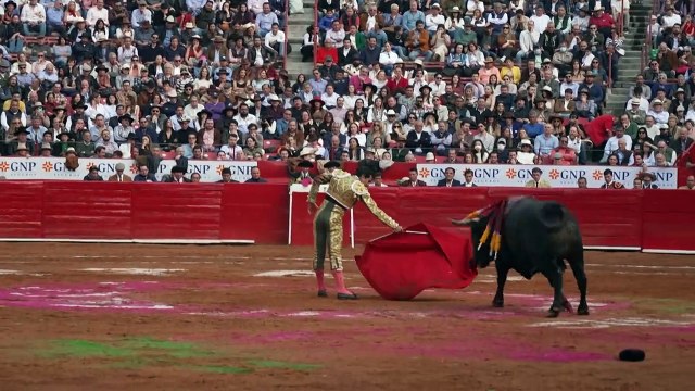 Touradas voltam à Cidade do México em meio a protestos