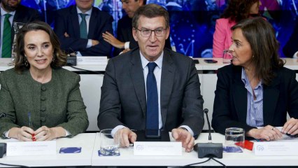 Declaraciones de Feijóo a menos de 24 horas de votar la Ley de Amnistía