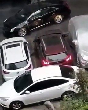 Drôle de façon de sortir de sa place de parking quand une autre voiture vous gène