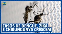 Dengue, zika e chikungunya: Minas registra mais de mil casos por dia