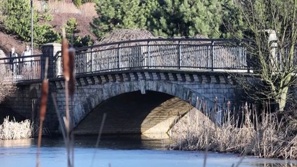 Staw Amelung w Chorzowie: Idealne miejsce na ciepłą zimę 🌊