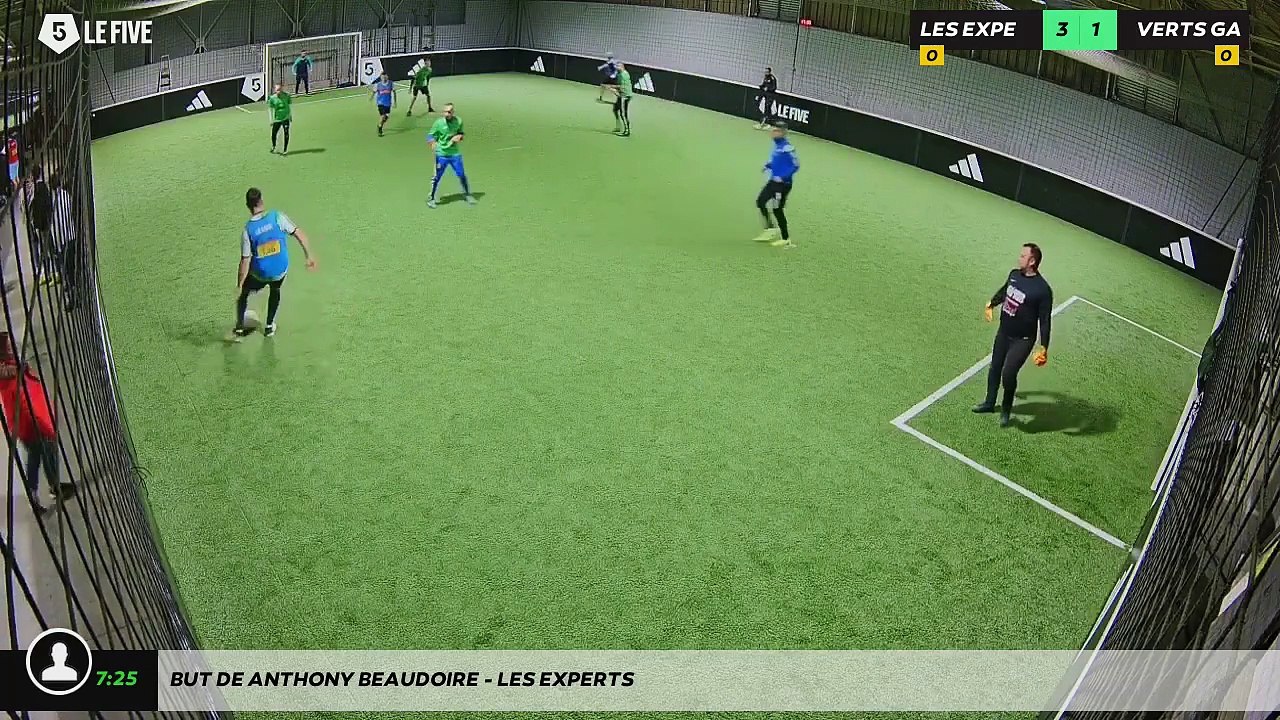 But de anthony beaudoire - LES EXPERTS