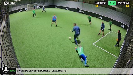 Faute de cedric fernandes - LES EXPERTS