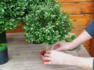 boule de buis artificiel sur tronc sur Deco Factory