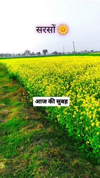 A Good Morning #a #viral #trending #good #morning