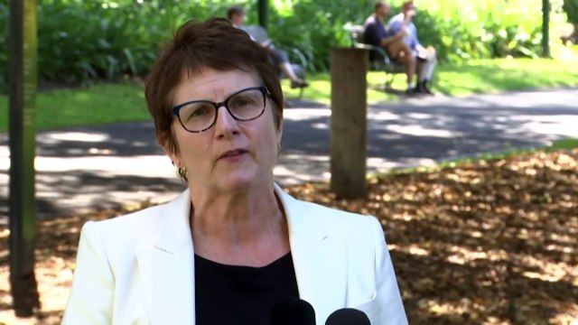 Anger as Victoria moves not to ban duck hunting despite inquiry recommendations