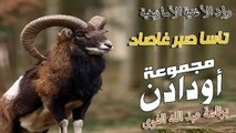 Oudaden - Tassa Sbar Ghassad (EXCLUSIVE) _ 2023 _  مجموعة أودادن - تاسا صبر غاصاد(360P)