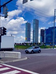 Guy Herds Family of Geese Out of Intersection