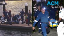 Woman attacked by shark in Sydney Harbour