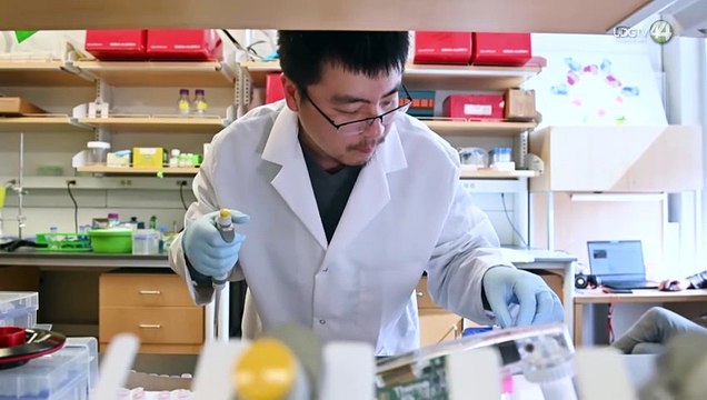 Crecen casos de Covid-19 en Jalisco; ignoran pruebas y aumenta el subregistro