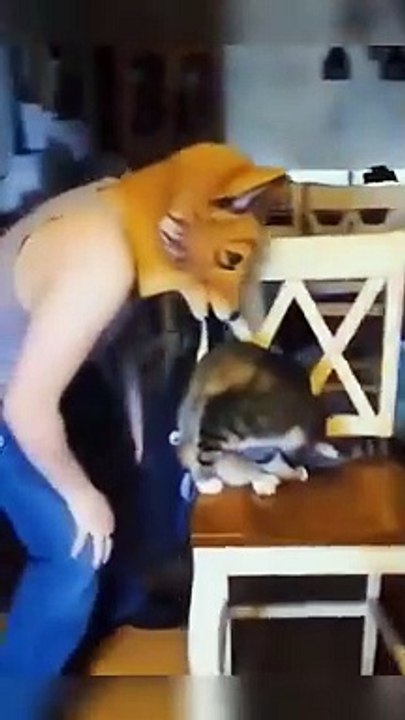 Pranks with pets