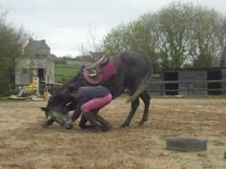 j'aurais pas dû mais j'ai pas résisté