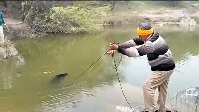 Video : मेज नदी में डूबने से युवक की मौत, अचानक फिसला पैर