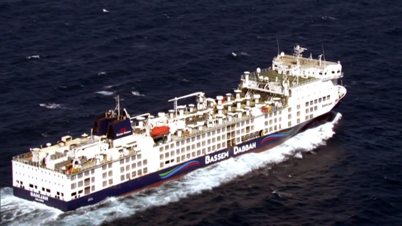 Concern for animals on ship docked off Western Australian