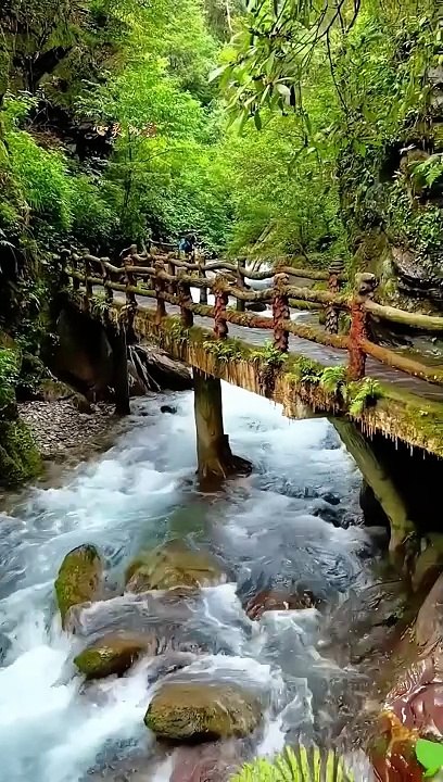 the Beauty of Earth shorts 1