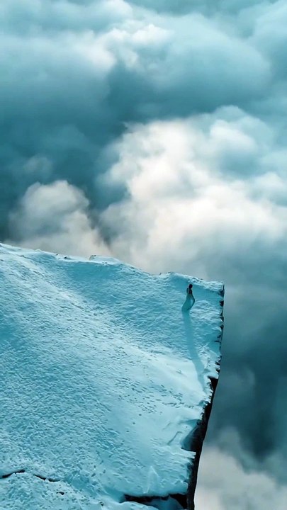 the Beauty of Earth shorts 2