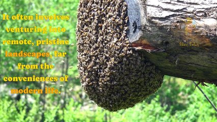 Unveiling the Secrets of Expensive Honey