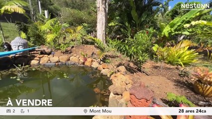 A vendre Terrain au Mont Mou à proximité de Païta et Nouméa - 2824m², Potentiel de Rénovation et Oasis Naturelle