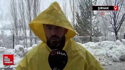 Şırnak'ta ağaç dalları kar ağırlığına dayanamadı