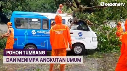 Descargar video: Hujan Deras dan Angin Kencang Sebabkan Pohon Tumbang dan Menimpa Angkutan Umum