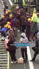 Colère des agriculteurs : les 10 «mesures de simplification immédiates» de Gabriel Attal