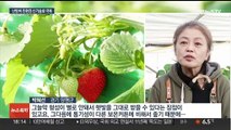 고유가에 시설농가 난방비 부담…친환경 기술로 극복