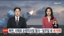 북한, 서해로 순항미사일 발사…일주일 새 세 차례