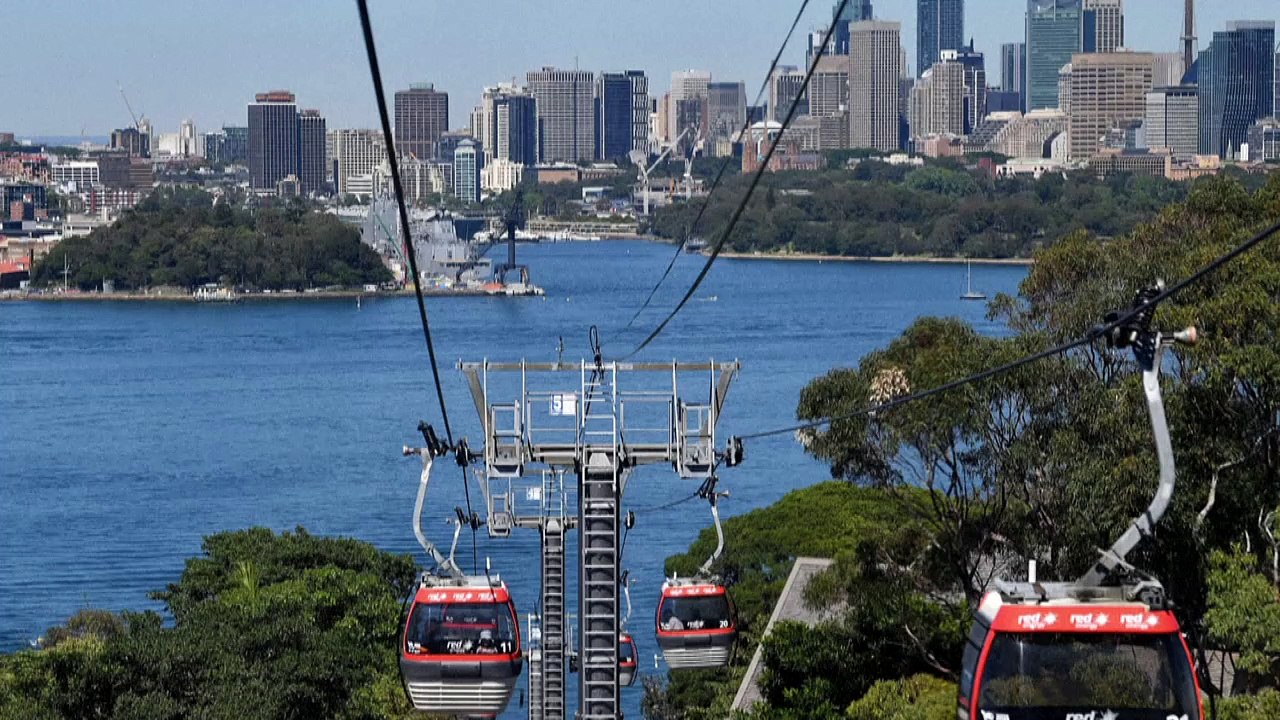 Haiangriff in sydney - augenzeuge schildet blutige szene