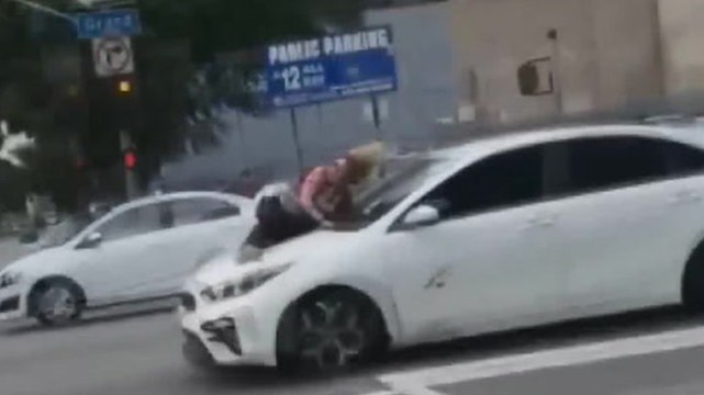 Woman clings to speeding car’s bonnet after dognappers snatch her French bulldog