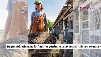 Amerika bu ikiliyi konuşuyor! Deve kuşu Emmanuel'in komik halleri tiktok'ta viral oldu