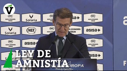 Feijóo: "La amnistía ampara contactos de independentistas con una potencia agresora"