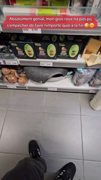 Je teste un lit pour chats en forme de donut #essai #teste #magasinaction #action #animaux #chat #lit #panier