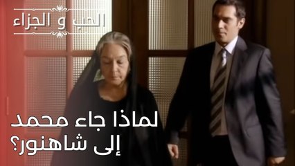 لماذا جاء محمد إلى شاهنور؟ | مسلسل الحب والجزاء  - الحلقة 24
