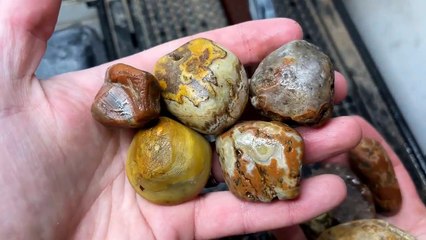 Pretty Agates & mystery rocks cut open on saw! #agate #agatestone #agates