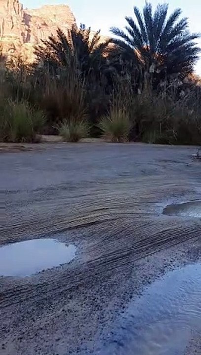 Plunge Into The Divine Beauty Of Wadi Al Disah In Winters