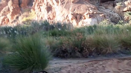 Mesmerizing natural beauty of Wadi Al Disah in Tabuk.