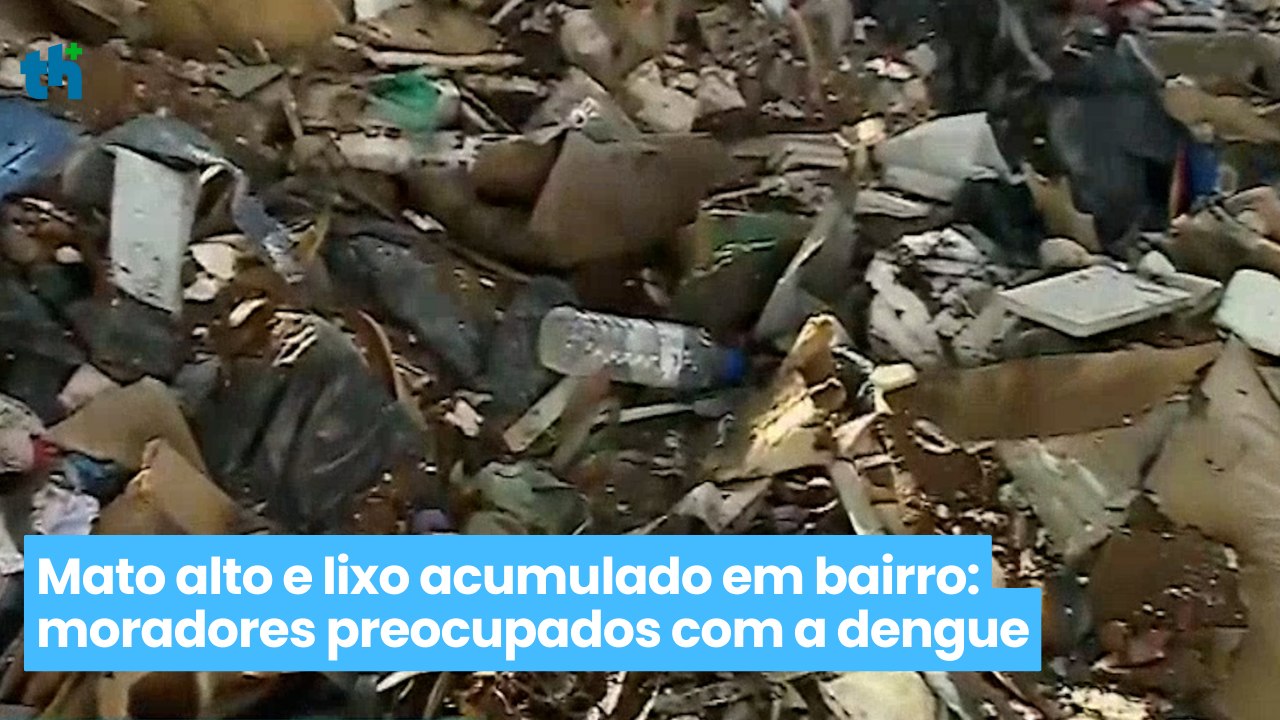 Mato alto e lixo acumulado em bairro moradores preocupados com a dengue