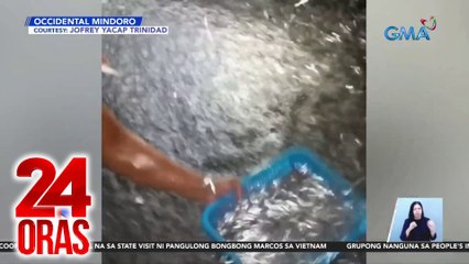 下载视频: Supply ng galunggong, kaunti kaya mataas ang presyo; bangus at tilapia, nagmahal din | 24 Oras