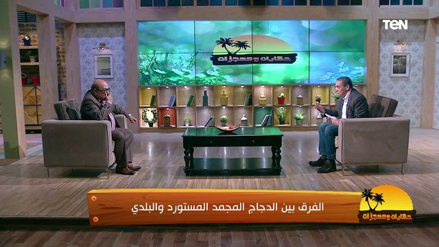 لو هتشتري فرخة مجمدة ازاي تعرفي إنها سليمة ولا فاسدة؟.. عميد طب بيطري القاهرة هيقولك الصح